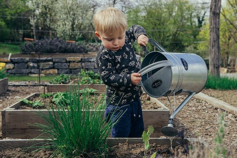 Gemakkelijk een moestuin met je kinderen maken, zo doe je dat! - BikeFlip