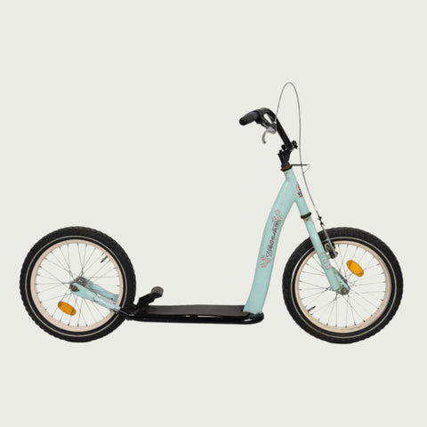 Step - BikeFlip