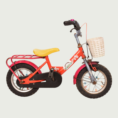 12.100 - BikeFlip