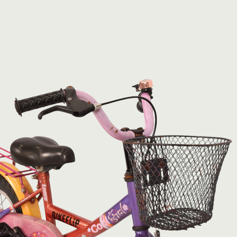 12.131 - BikeFlip