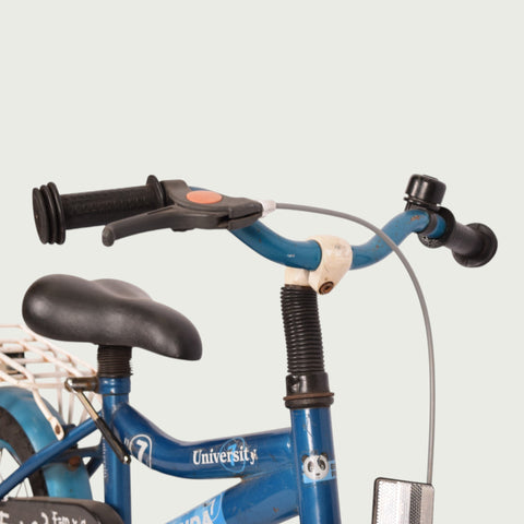 12.203 - BikeFlip