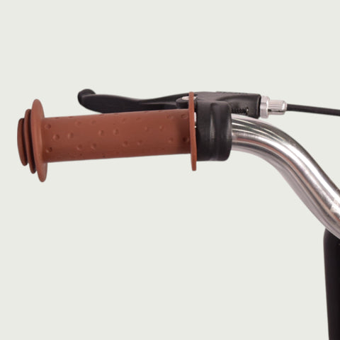 12.359P - BikeFlip