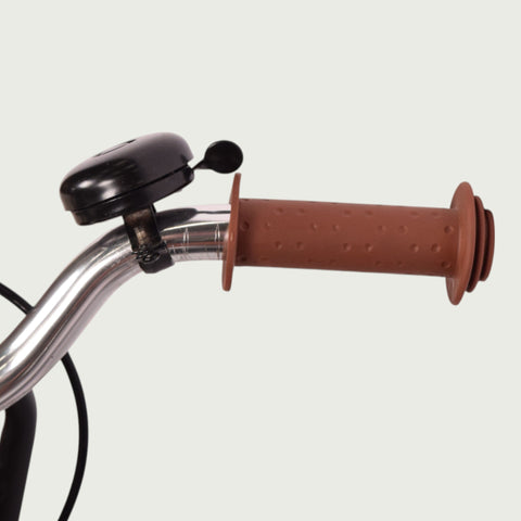 12.359P - BikeFlip