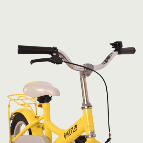 12.368 - BikeFlip