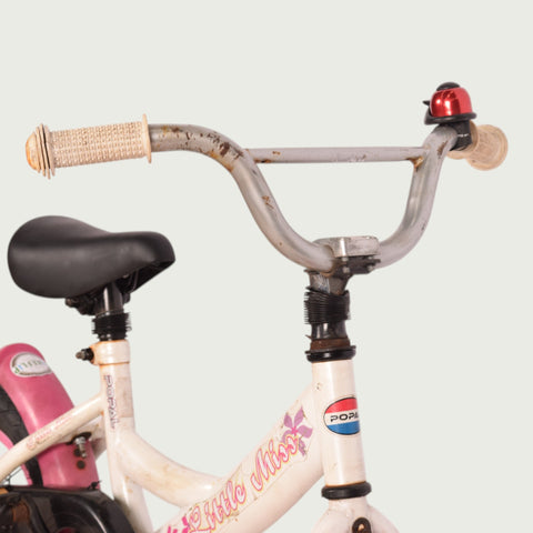 12.387 kinderfiets - BikeFlip