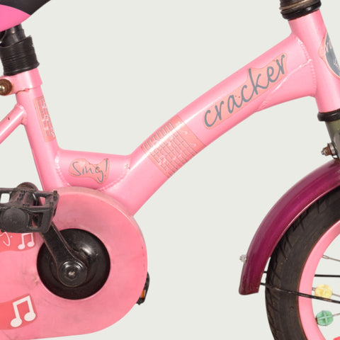 12.403 kinderfiets - BikeFlip