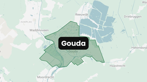 Gouda