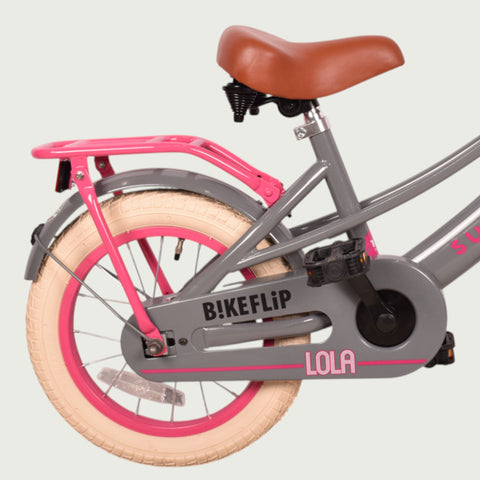 14.109P - BikeFlip