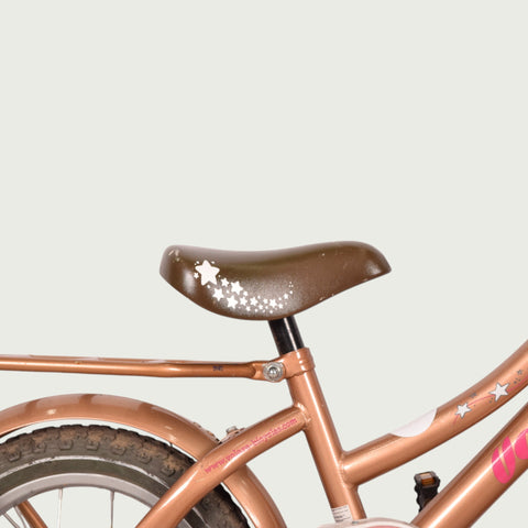 14.129 - BikeFlip