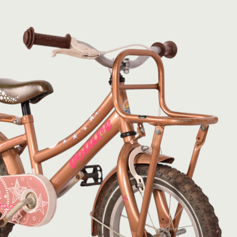 14.129 - BikeFlip