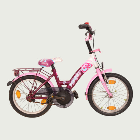 16.252 - BikeFlip