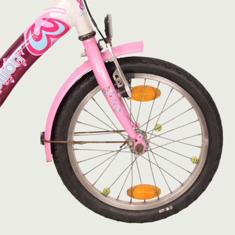 16.252 - BikeFlip