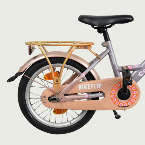 16.310 - BikeFlip