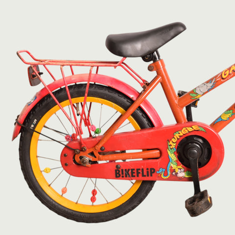 16.445 - BikeFlip