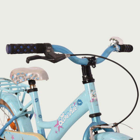 16.622 - BikeFlip
