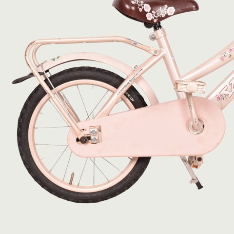 16.727 kinderfiets - BikeFlip