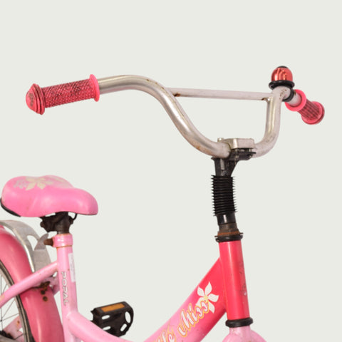 18.299 - BikeFlip
