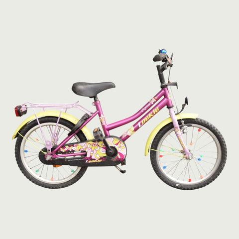 18.327 - BikeFlip