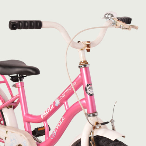 18.365 kinderfiets - BikeFlip