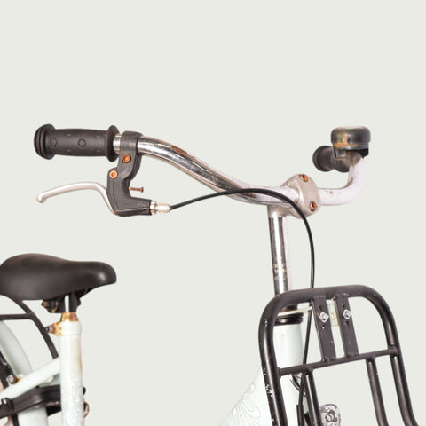 20.120 - BikeFlip