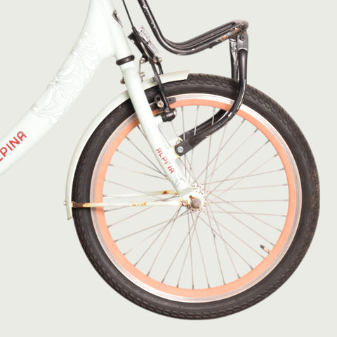 20.120 - BikeFlip