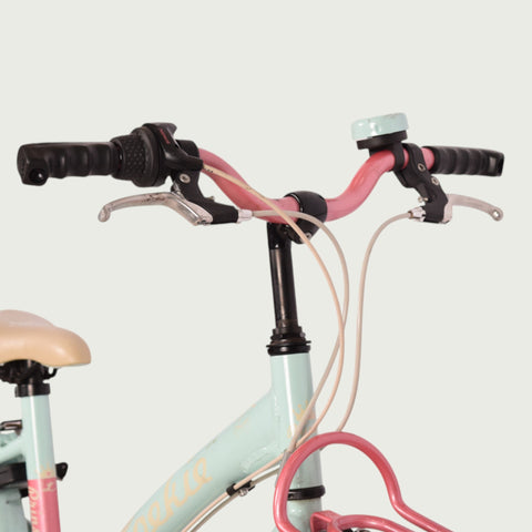 22.264 - BikeFlip