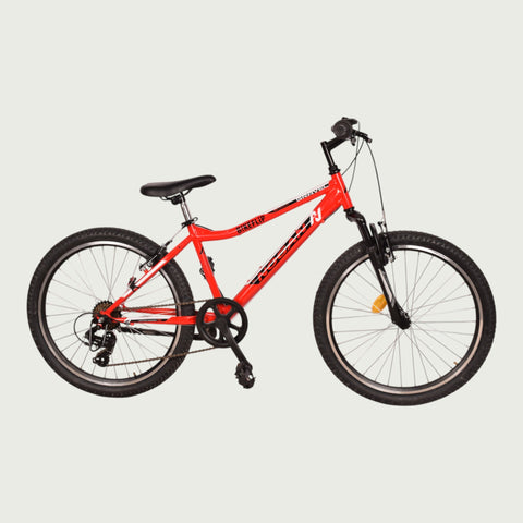 24.1291P kinderfiets - BikeFlip