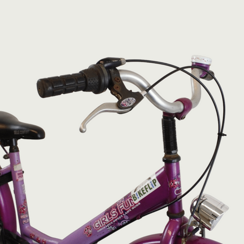 24.145 - BikeFlip
