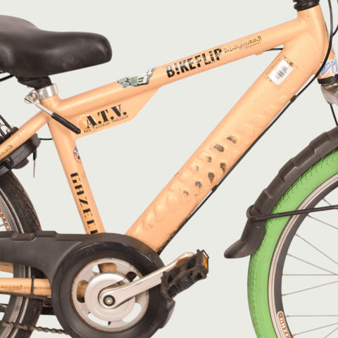 24.380 - BikeFlip