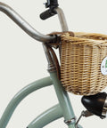 Mandje - BikeFlip