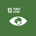 Doel 13: Klimaatactie