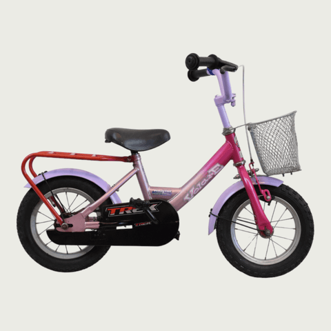 12.190 - BikeFlip