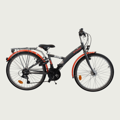 24.373 - BikeFlip