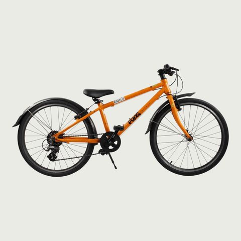 24.108 - BikeFlip