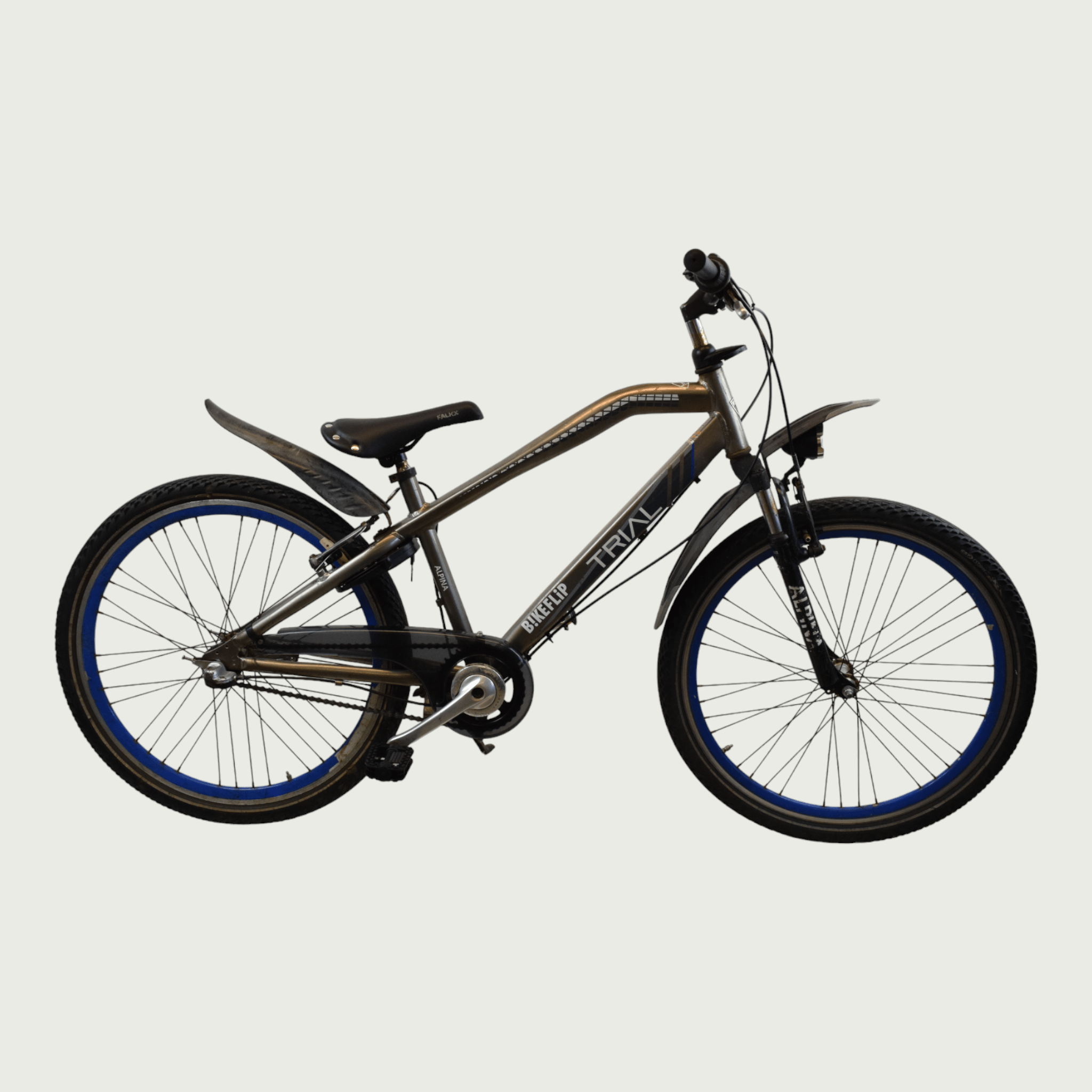 Alpina 26 inch children's bicycle in gray for 10-12 years | BikeFlip