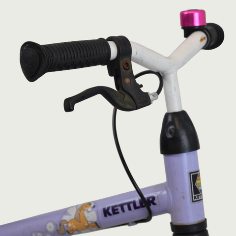L.54 - BikeFlip