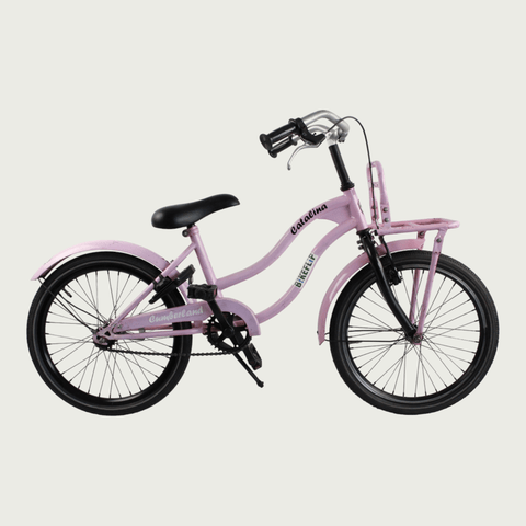 20.170 - BikeFlip