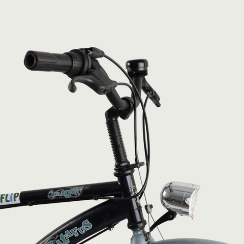 24.216 - BikeFlip