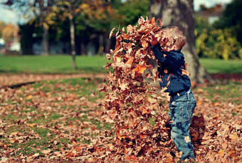 De 7 meest populaire herfst activiteiten voor kinderen.  - BikeFlip