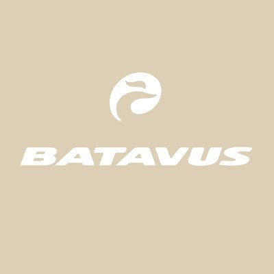 Batavus - BikeFlip