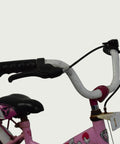 12.212 - BikeFlip