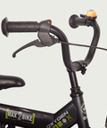 12.237 - BikeFlip