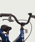 12.239 - BikeFlip