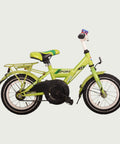 12.251 - BikeFlip