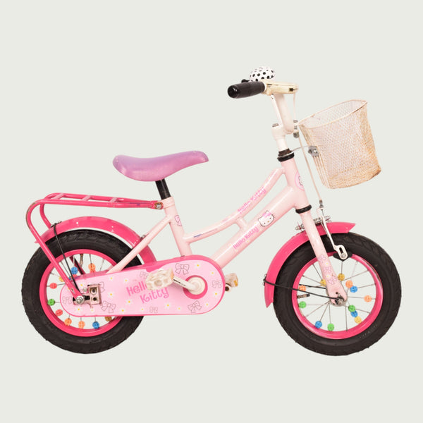 12310-bikeflip-550903_grande.