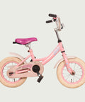 12.341 - BikeFlip