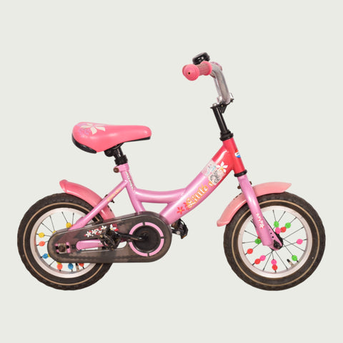 12.358 - BikeFlip