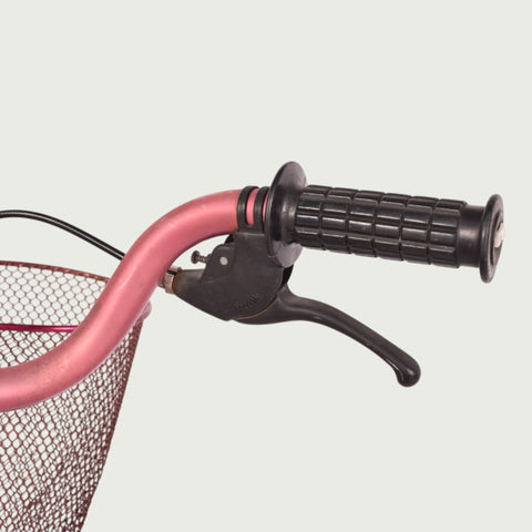 12.464 kinderfiets - BikeFlip