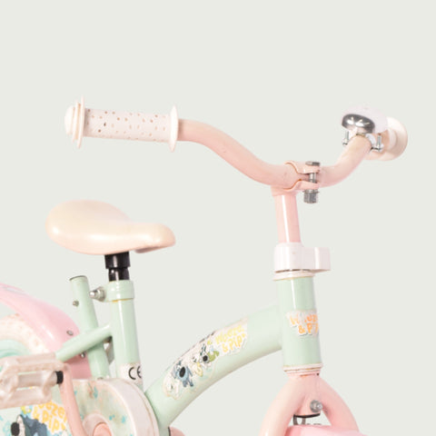 12.465 kinderfiets - BikeFlip