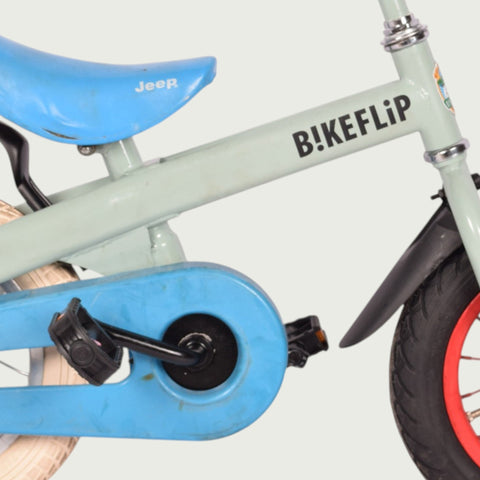 12.487 kinderfiets - BikeFlip